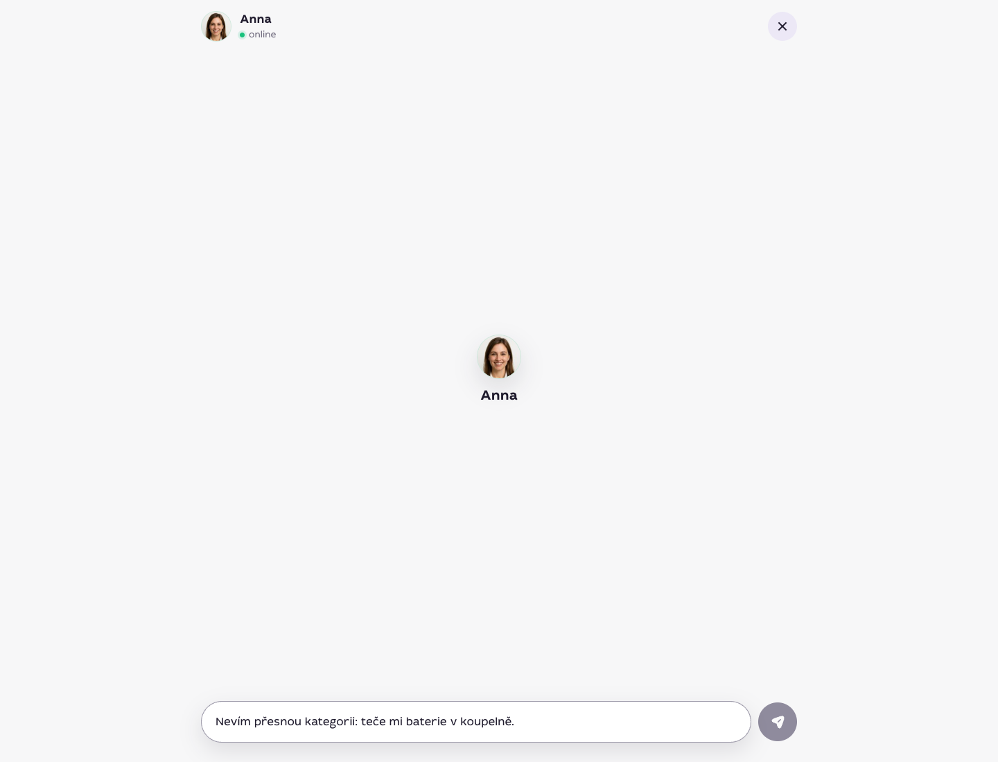 Chat s asistentkou Annou s dotazem na nejasnou kategorii služby