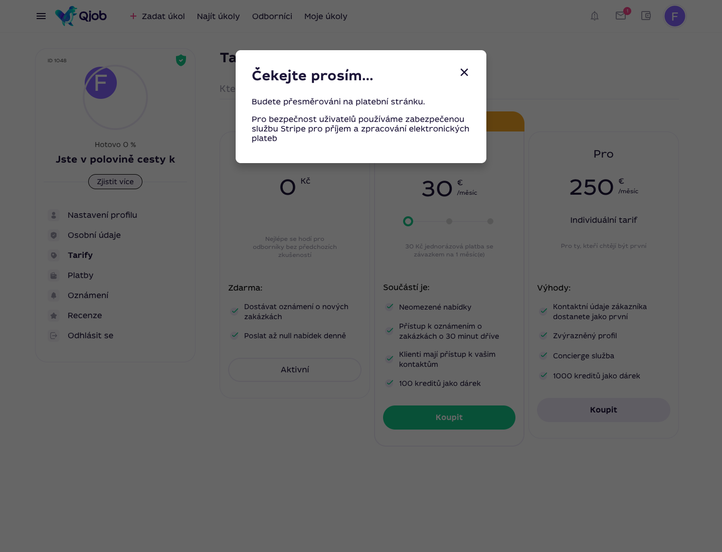 Okno Qjob.cz s informací o přesměrování na zabezpečenou platební stránku Stripe