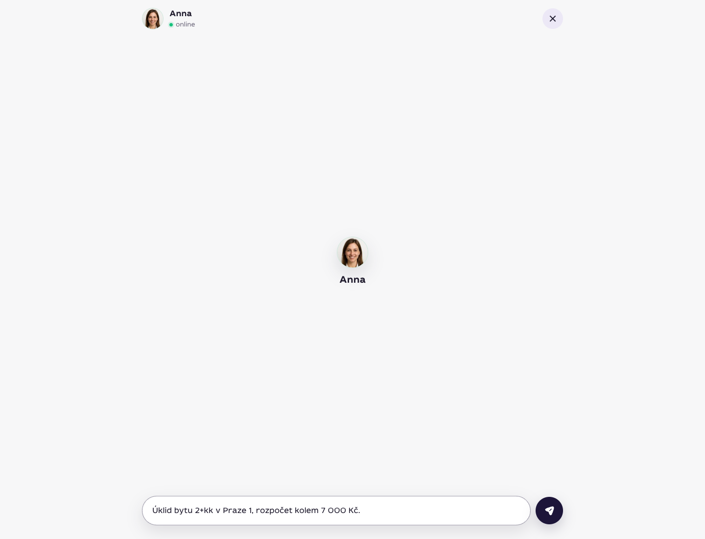 Chat s asistentkou Annou s textem úkolu a rozpočtem kolem 7 000 Kč