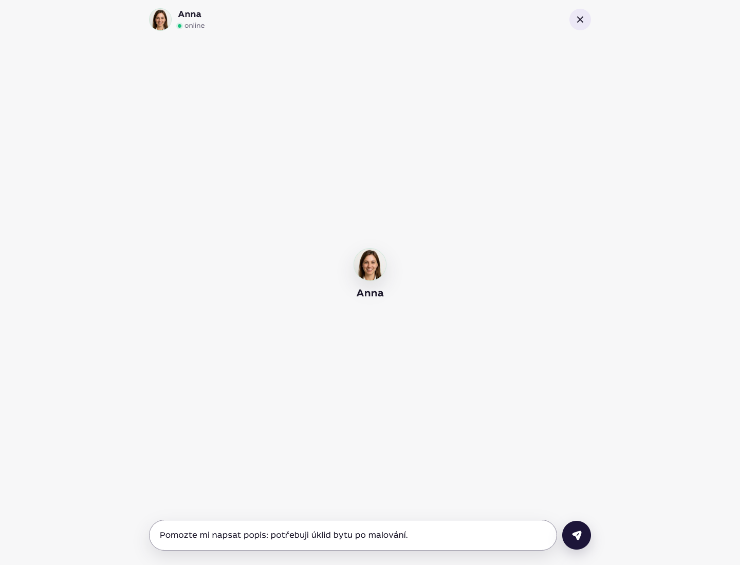 Chat s asistentkou Annou s rozepsanou žádostí o pomoc s popisem úkolu